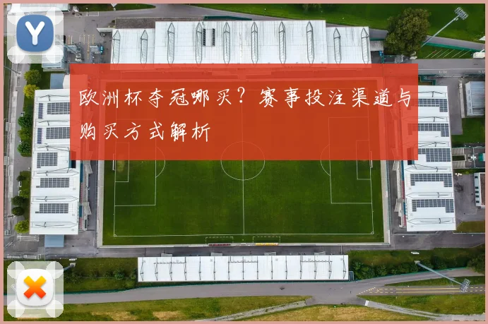 欧洲杯夺冠哪买?赛事投注渠道与购买方式解析